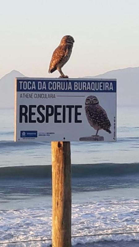 Chalé do Tio Beto - Caraguatatuba - image 38