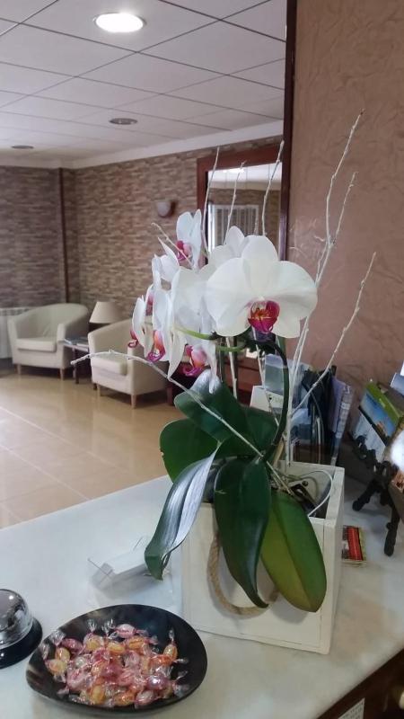 Hotel Rias Baixas - image 18