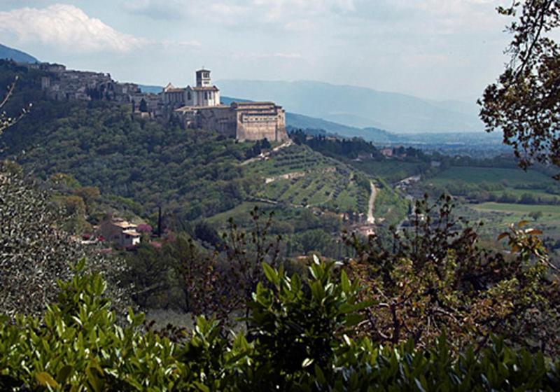 B&B Colle San Francesco - image 2