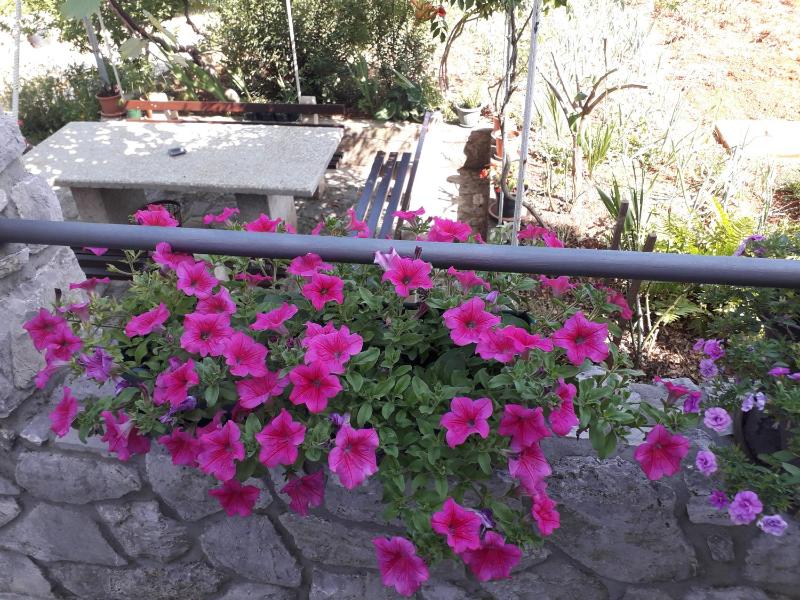 Standard Double Room image 4