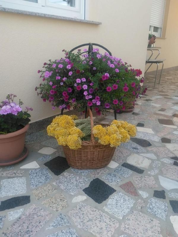 Standard Double Room image 3