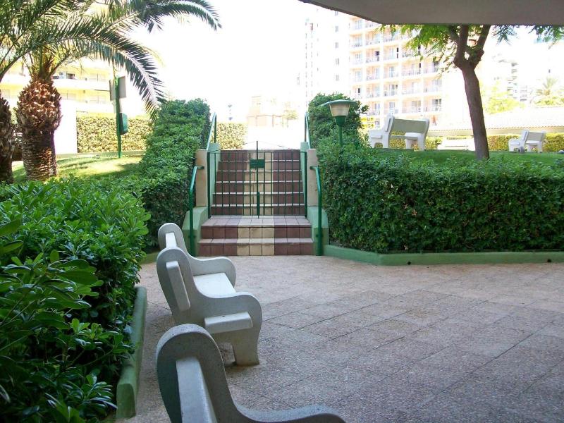 LAS GARDENIAS GANDIA - Alquiler Familias - image 17