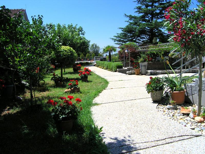 Studio with Terrace image 3