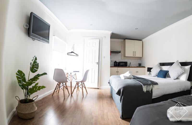 Triple Studio Apartment image 2