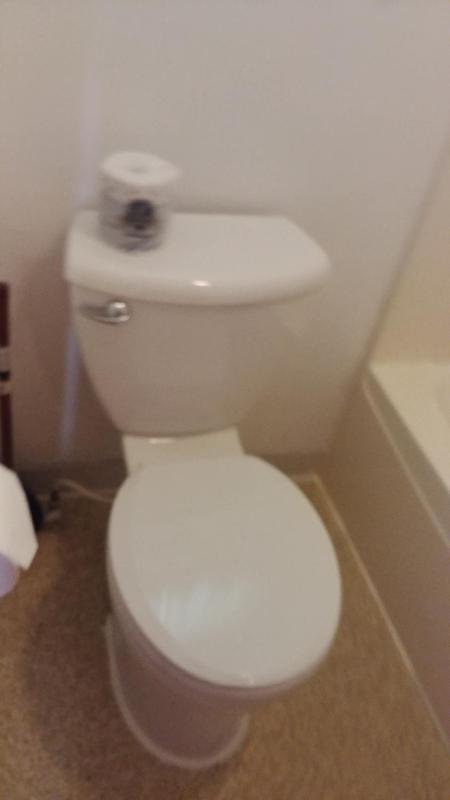 Superior Deluxe Double or Twin Room  image 4
