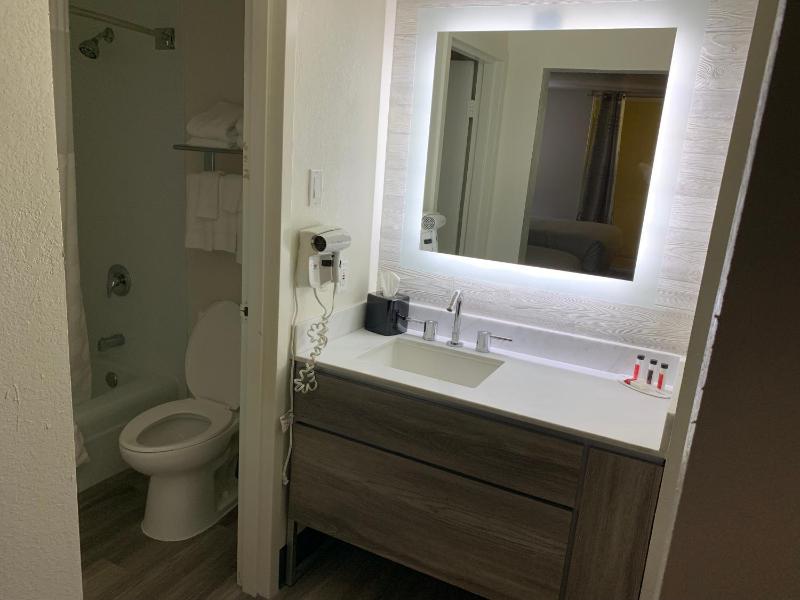 Deluxe King Suite - Non-Smoking image 2