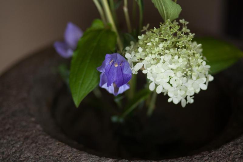 Bed & Breakfast Tsukiya - image 9