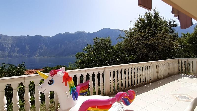 Apartman Tešović - image 11