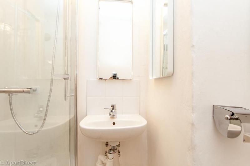 Large One-Bedroom Apartment image 2