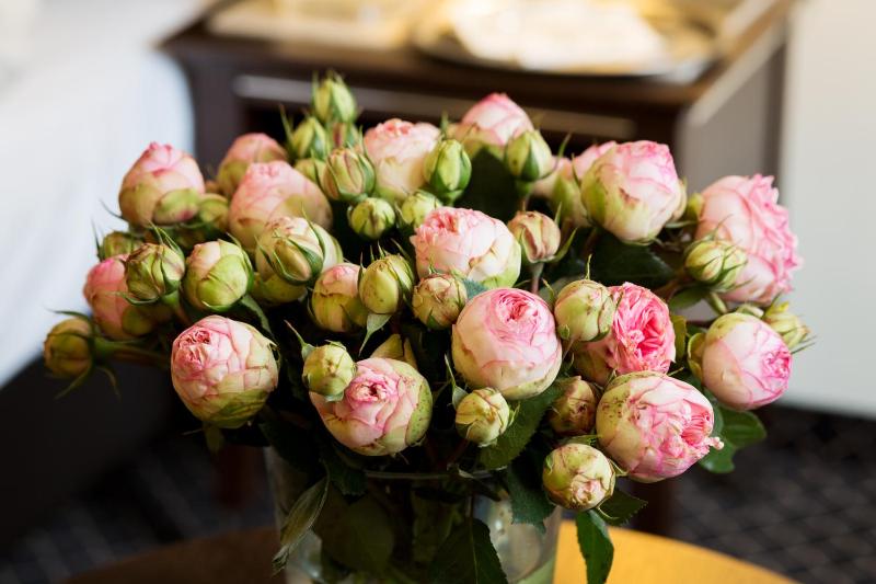 Executive Deluxe Room image 4