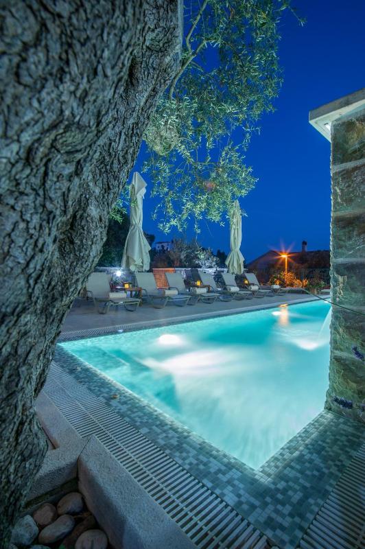 Villa with Private Pool image 4