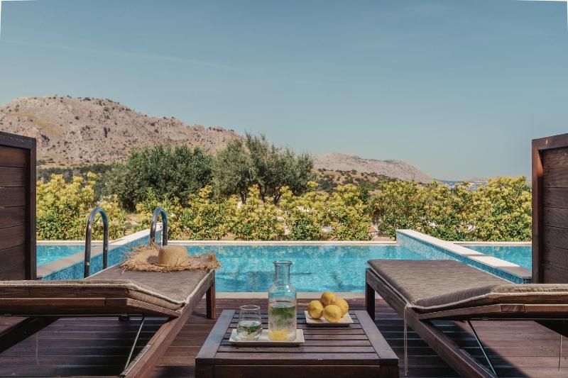 Superior Double or Twin with Private Pool image 2