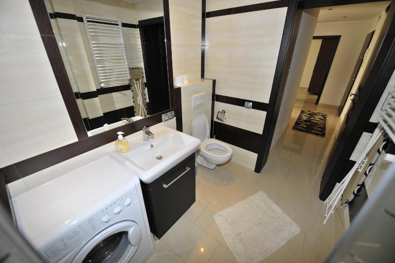 One-Bedroom Apartment image 3