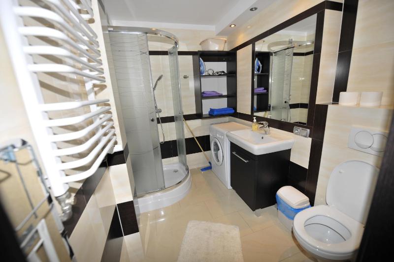 One-Bedroom Apartment image 4