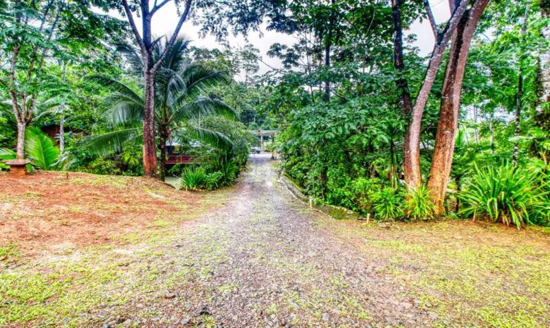Hotel San Rafael Ecolodge - image 6