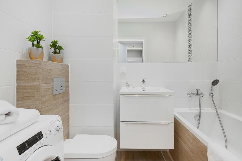 One-Bedroom Apartment image 3