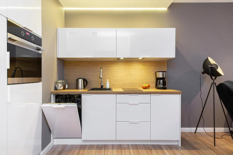 One-Bedroom Apartment image 4