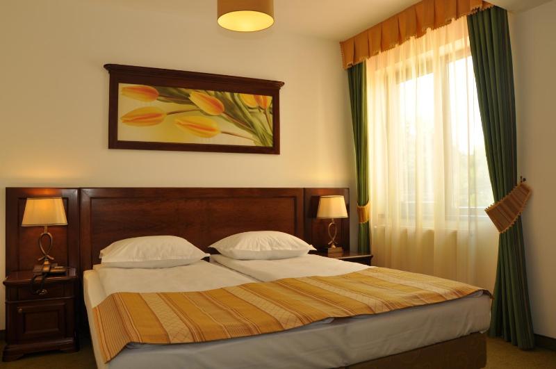 Deluxe One-Bedroom Suite image 4