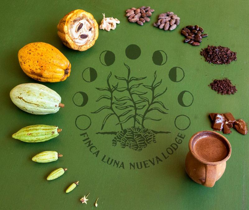 Finca Luna Nueva Lodge - image 3