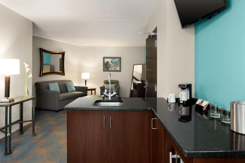 Premier King Suite image 4