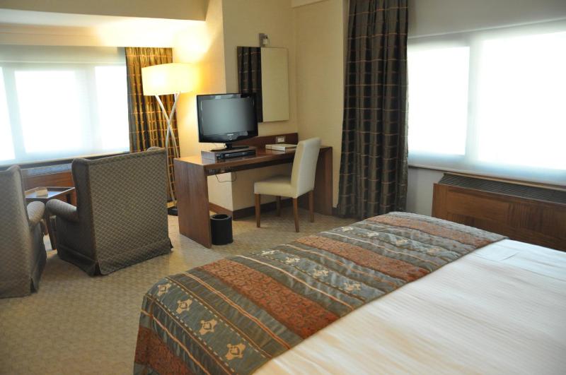 Junior King Suite image 4