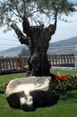 Hotel Liñares - image 6