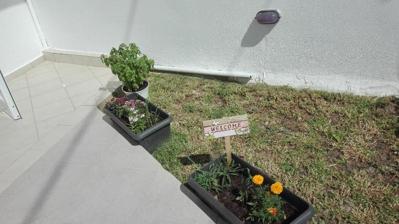 Alexandros Guest House - image 14