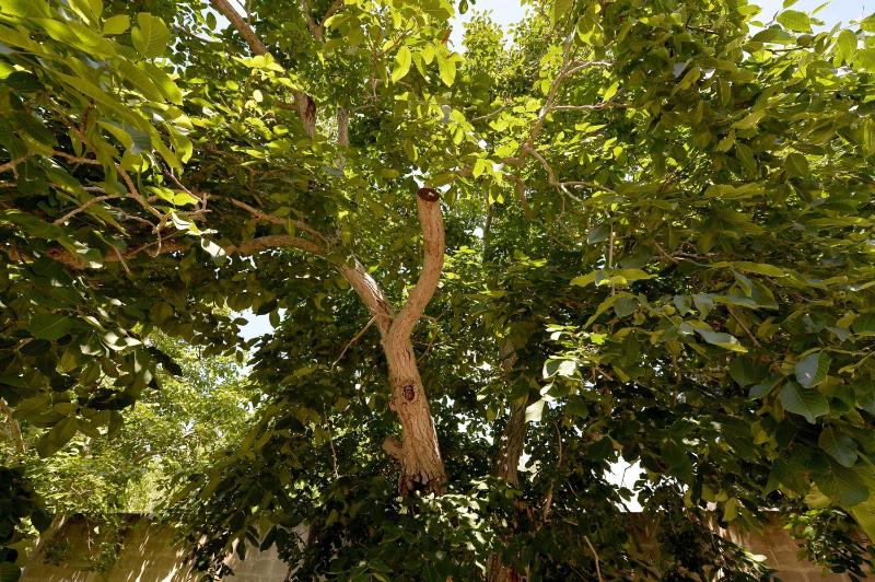 One-Bedroom Apartment (2 Adults) image 2