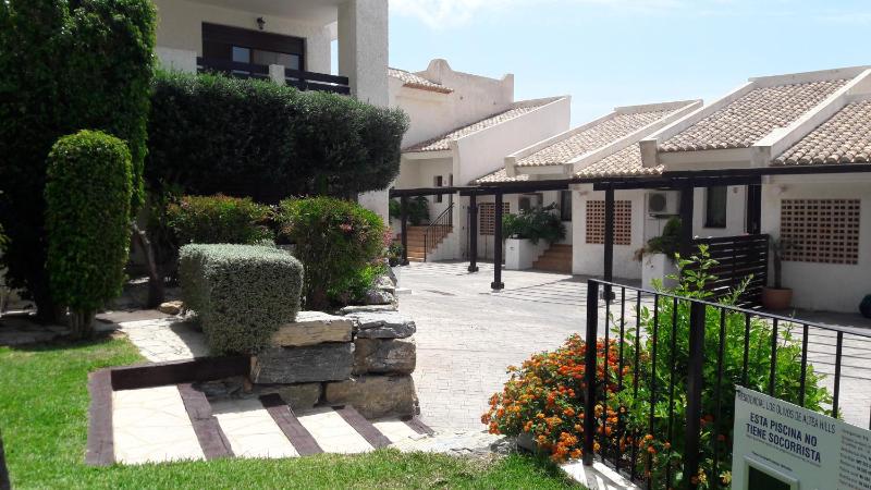 Altea Olivos G - image 16
