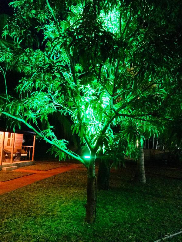 Trinco Relax Hut - image 17