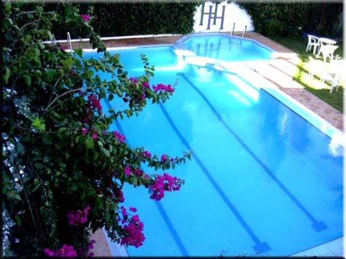 Hotel Hacienda - image 26