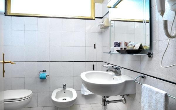 Deluxe Double or Twin Room image 4