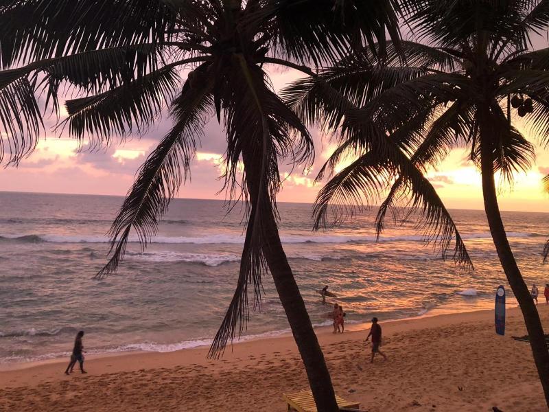 Hansa Surf Hotel - image 18
