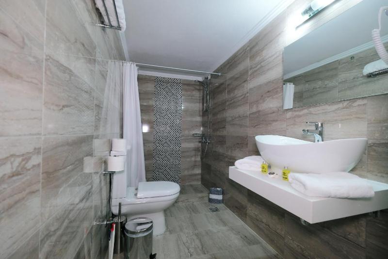 Double or Twin Room with City View image 2
