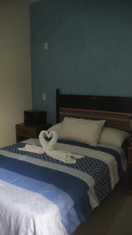 Casa del Parque Vallarta - image 7
