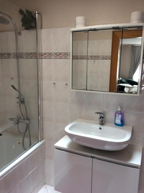 Superior Double Room image 3