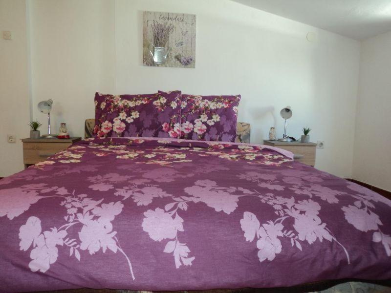 Studio Apartment image 3