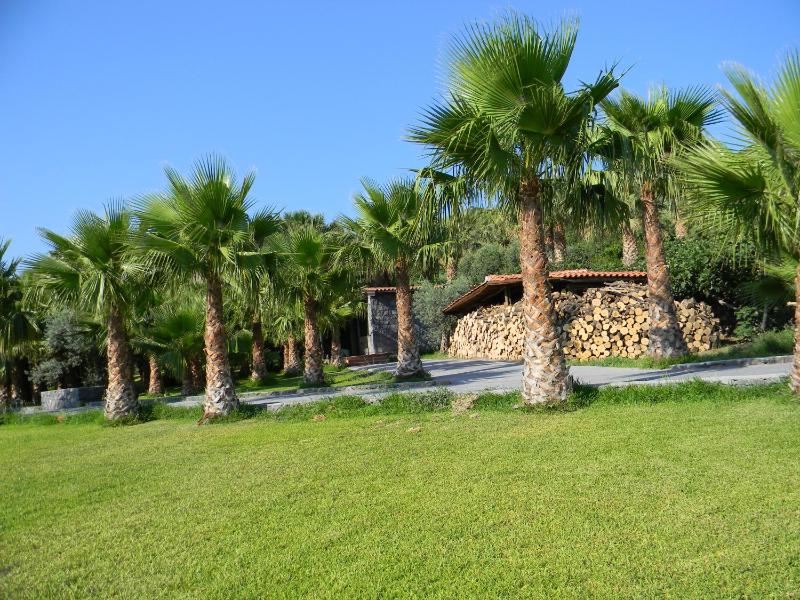 Villa with Garden View image 3