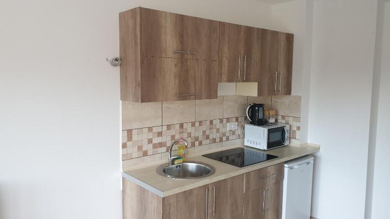 One-Bedroom Apartment image 2