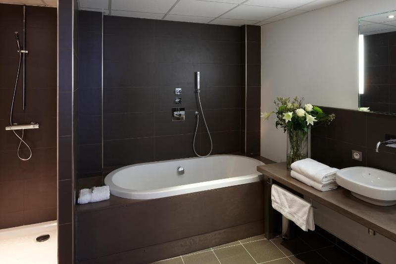 Large Suite image 4