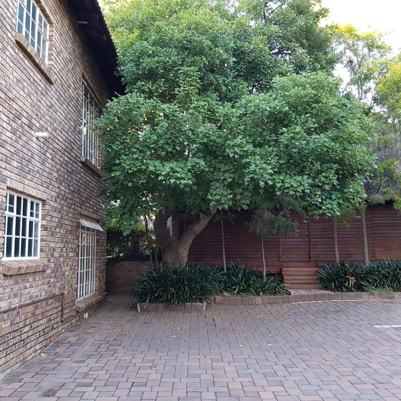 Falling Feather Inn - image 11