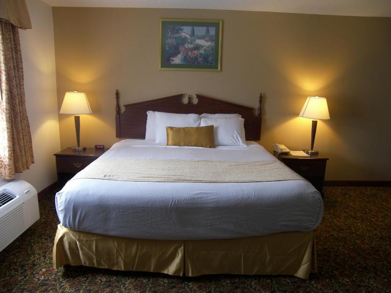 King Suite - Non-Smoking image 1