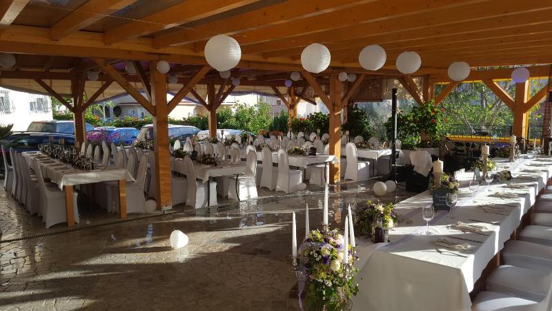 Pansion Dragica - image 10
