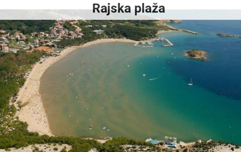 Pansion Dragica - image 41