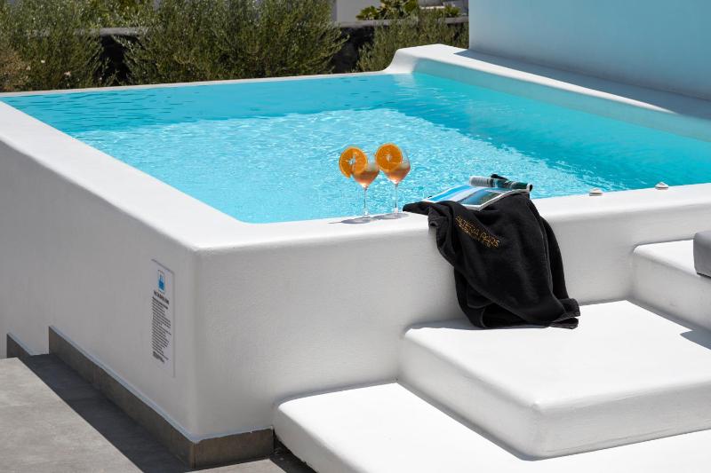 Executive Suite with Private Plunge Pool and Garden View image 4