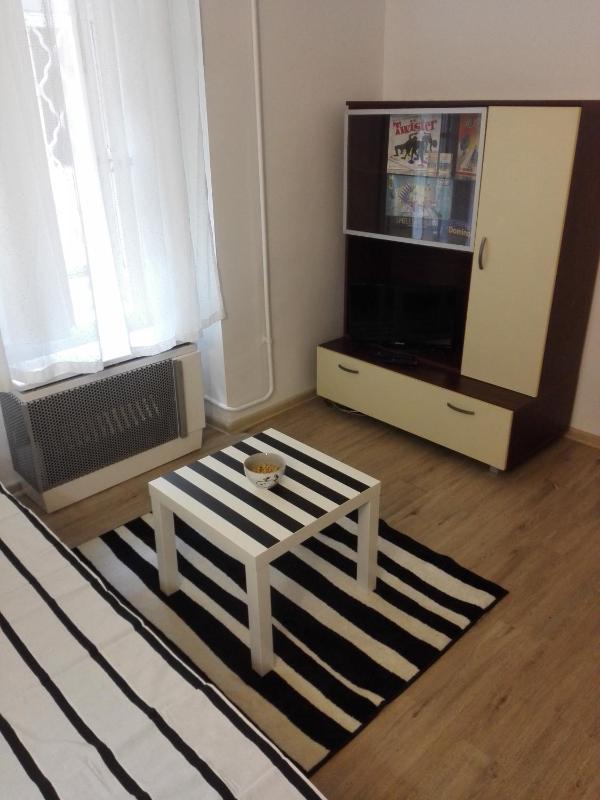 One-Bedroom Apartment image 4