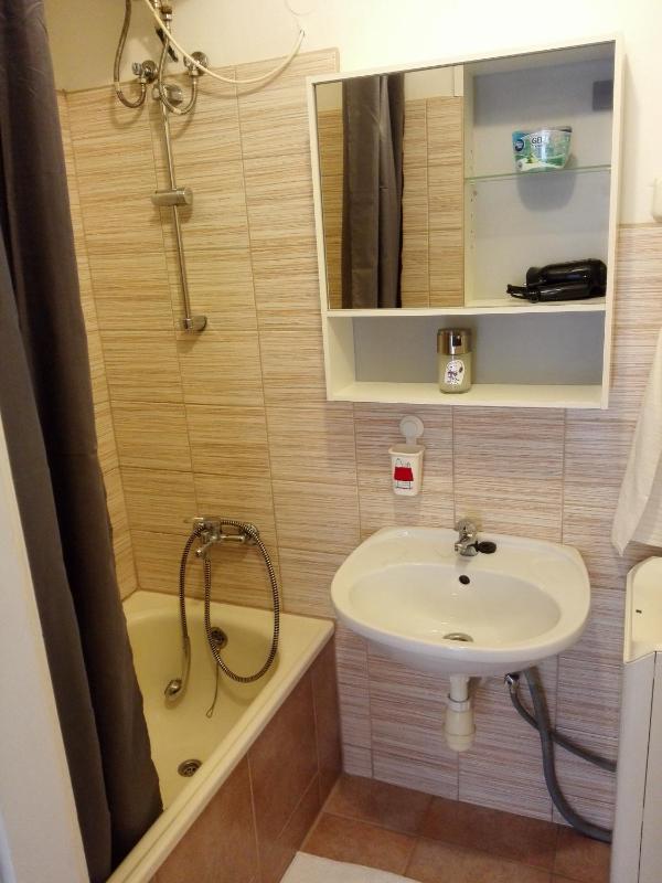 One-Bedroom Apartment image 3