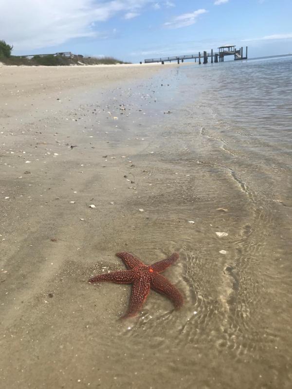 Hotel Tybee - image 5