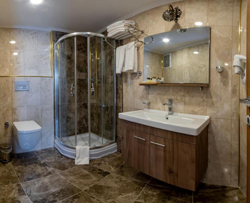 Standard Family Room image 4