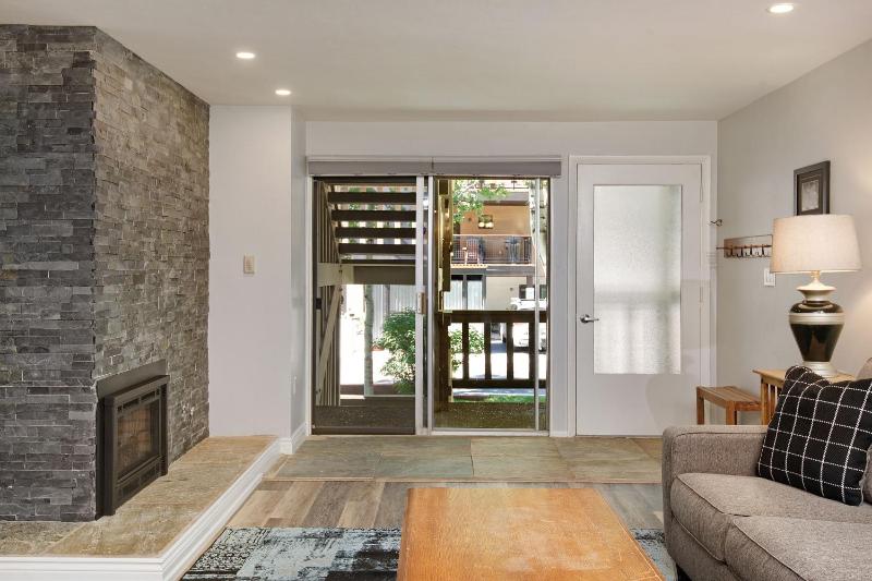 Modern Aspen Condo Private Deck with Koch Park Views - 2E - image 6